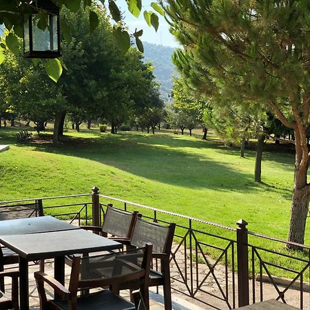 Hotel Marathia آرتا المظهر الخارجي الصورة